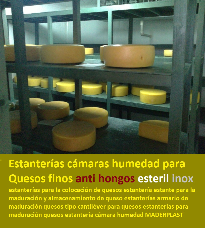 estanterías para la colocación de quesos estantería estante para la maduración y almacenamiento de queso estanterías armario de maduración quesos tipo cantiléver para quesos estanterías para maduración quesos estantería cámara humedad 0 estanterías para la colocación de quesos estantería estante para la maduración y almacenamiento de queso estanterías armario de maduración quesos tipo cantiléver para quesos estanterías para maduración quesos estantería cámara humedad 0 estanterías para la colocación de quesos estantería estante para la maduración y almacenamiento de queso estanterías armario de maduración quesos tipo cantiléver para quesos estanterías para maduración quesos estantería cámara humedad 0